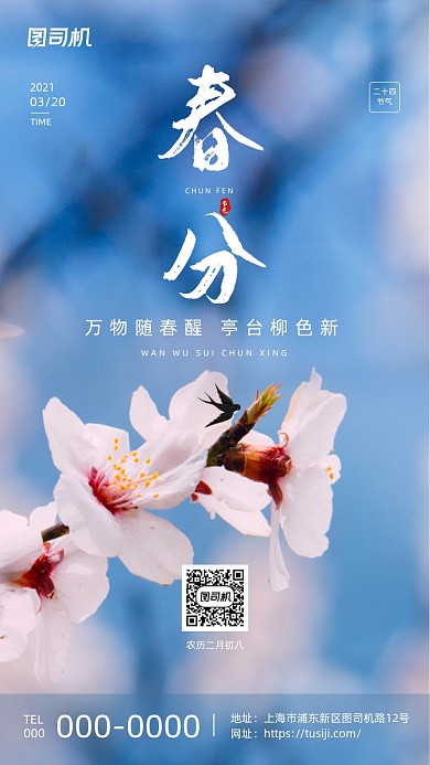 春分节气简约传统手机海报