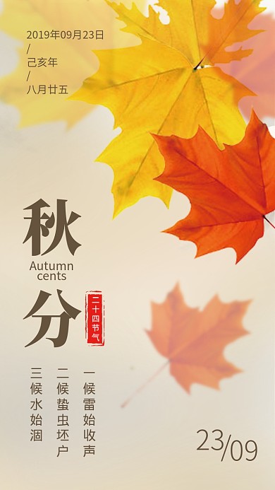 简约枫叶秋分传统节气海报