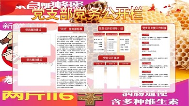 党支部风采五好党支部标准展板