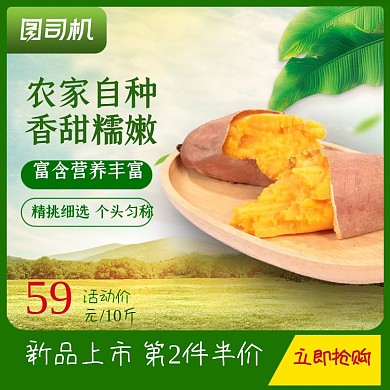 食品红薯马铃薯地瓜主图