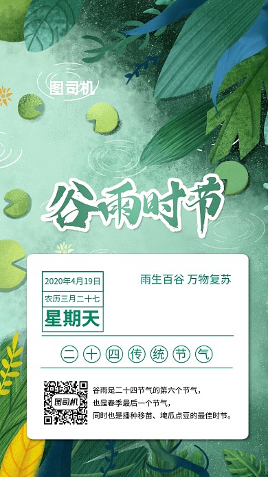 谷雨简约手机海报