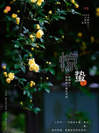 中国传统节气24节气惊蛰绿植春天海报