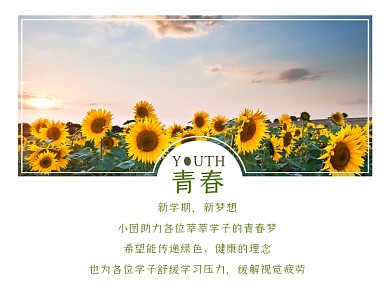 青春新学期向日葵横版配图