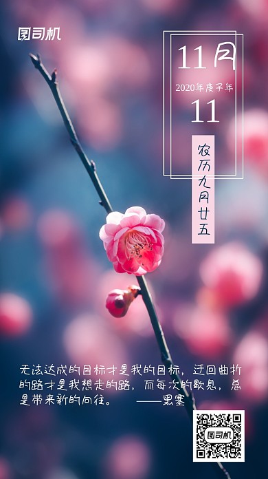 日签心情梅花手机海报