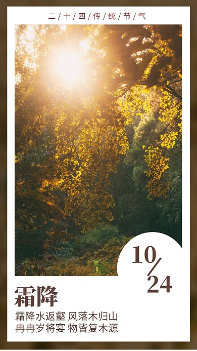 简约风二十四传统节气霜降手机海报
