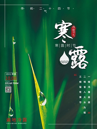 清新传统24节气寒露阳光绿色植物黄叶海报