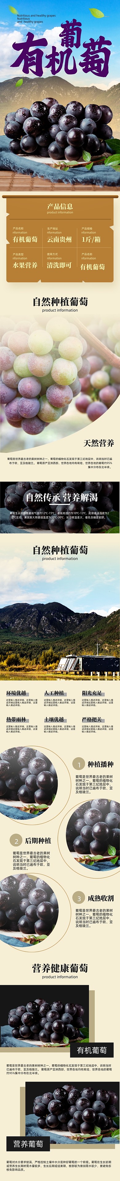 有机葡萄冬季水果详情页