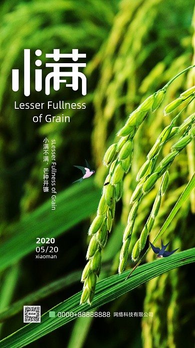 田园稻谷小满节气海报
