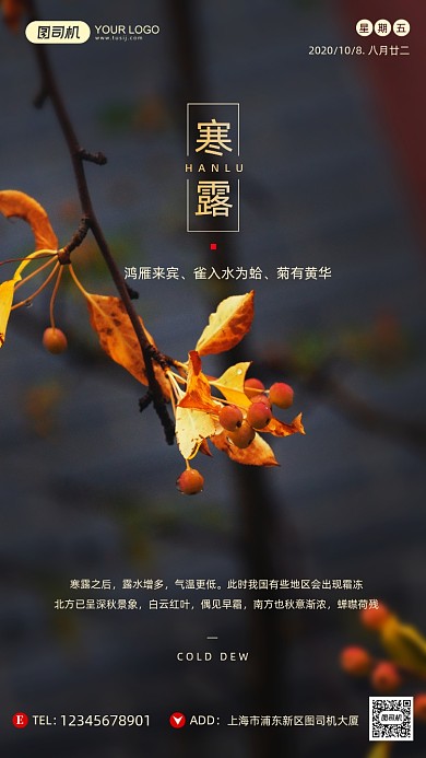 寒露节气摄影图文艺清新手机海报