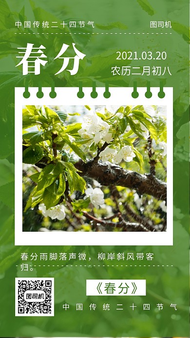 春分二十四节气绿色摄影图手机海报