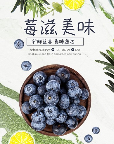 新鲜水果蓝莓竖版电商海报