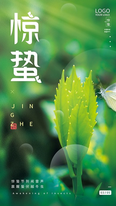 简约创意二十四节气惊蛰节气摄影图海报