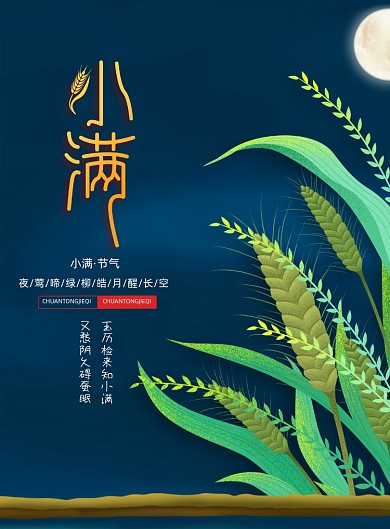 大气二十四节气小满海报