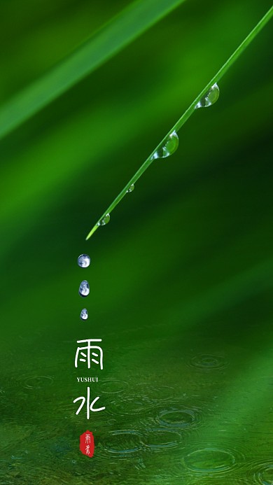 雨水节气手机海报