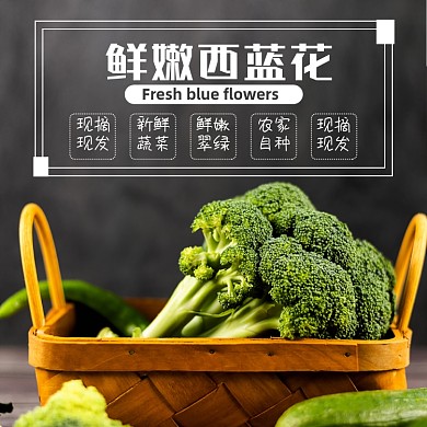 西蓝花蔬菜食品淘宝主图直通车模板