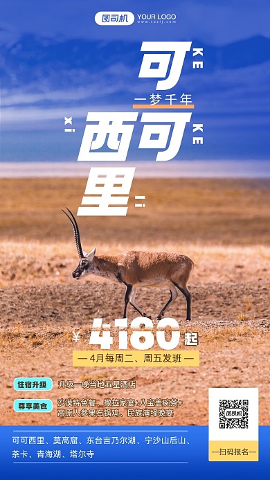 可可西里之旅摄影图手机海报