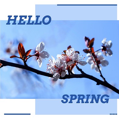 你好春天清新踏青旅游春日桃花方形配图