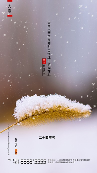 大寒雪棕色创意海报