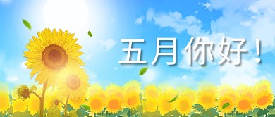 五月你好向日葵黄色简约公众号首图