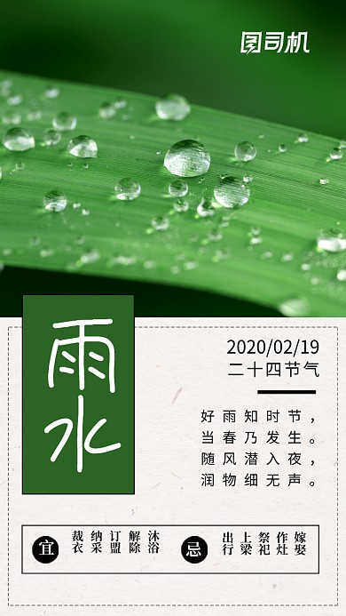 简约日签雨水节气手机海报