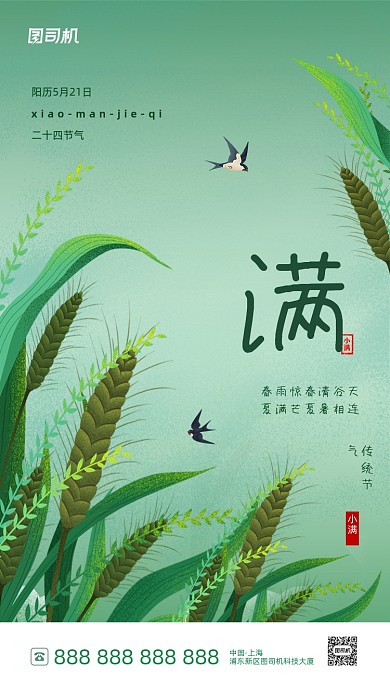 小满节气绿色简约风手机海报