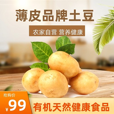 食品土特产土豆马铃薯主图