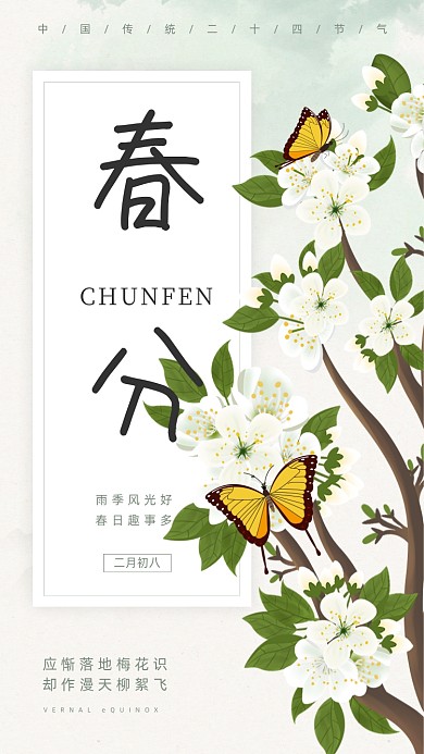 春分节气清新梨花蝴蝶插画手机海报