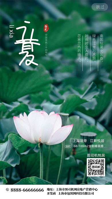 立夏节气荷花摄影海报