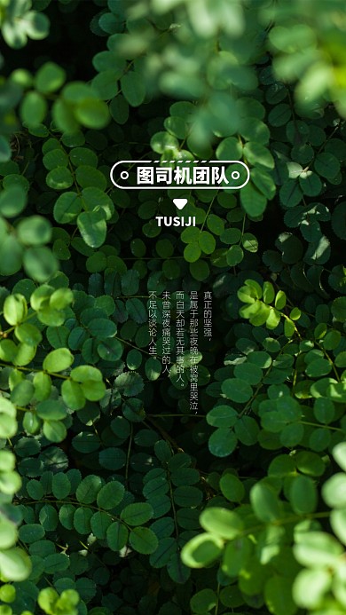 创意小清新励志讲师团队聊天背景图