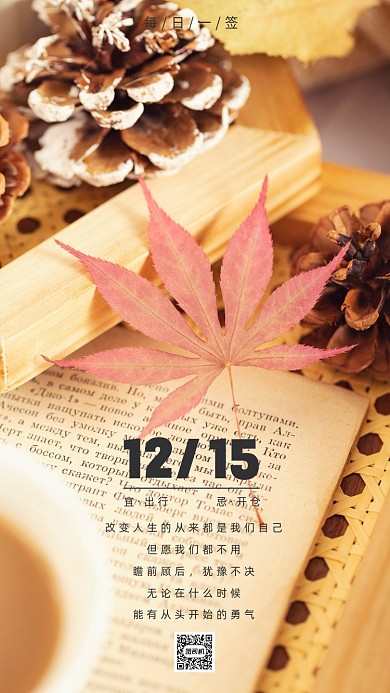 枫叶松果书本摄影日签