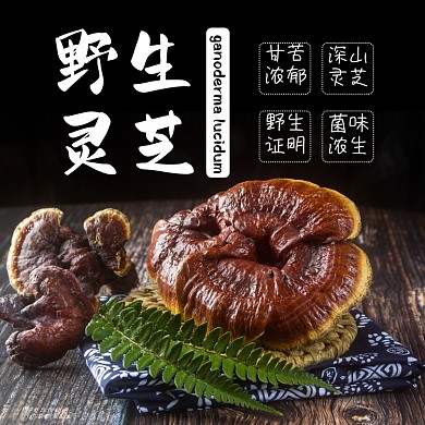 灵芝药材补品食品淘宝主图直通车模板