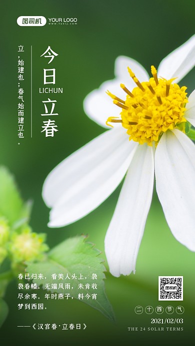 二十四节气立春摄影图绿色手机海报
