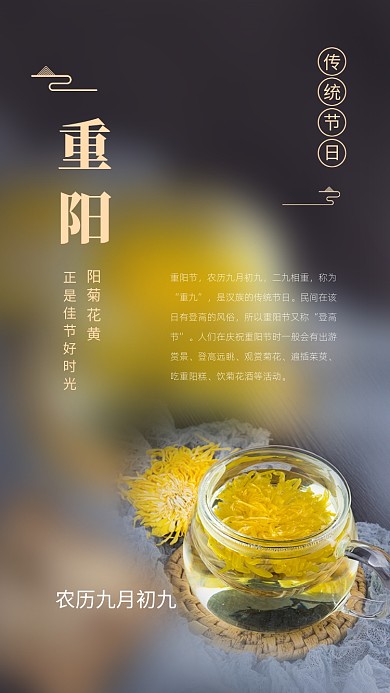 重阳节简约时尚文章配图