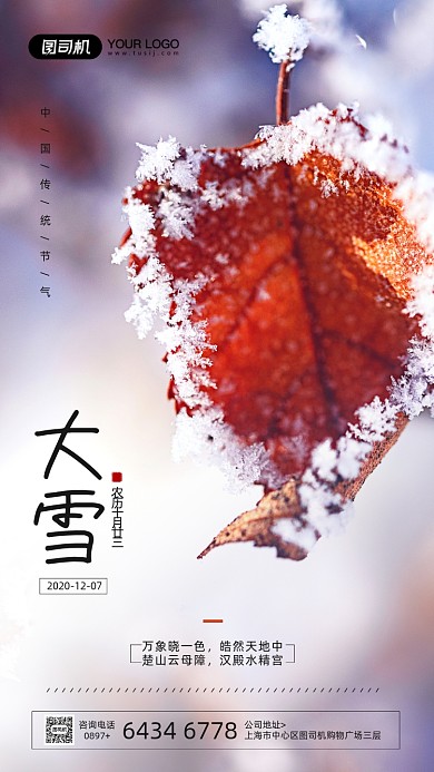 大雪节气简约摄影图宣传手机海报