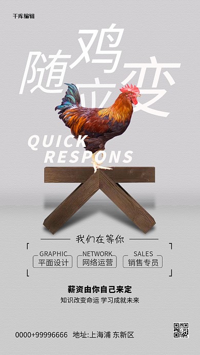 人才招聘鸡灰色创意海报