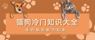 简约卡通宠物健康知识公众号首图