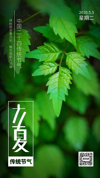 立夏节日节气手机海报