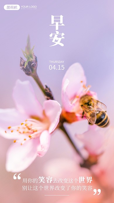 采蜜的蜜蜂唯美摄影手机海报