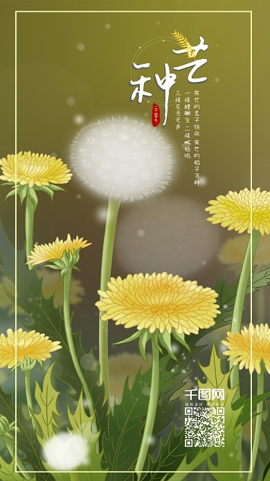 原创手绘插画二十四节气芒种之田野的蒲公英