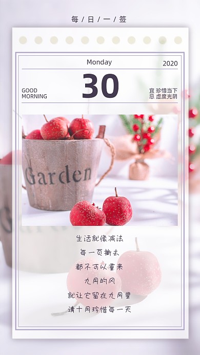 山楂圣诞树摄影日签清新简约手机海报