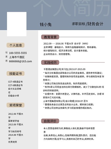 莫兰迪色西财务专业个人简历模板