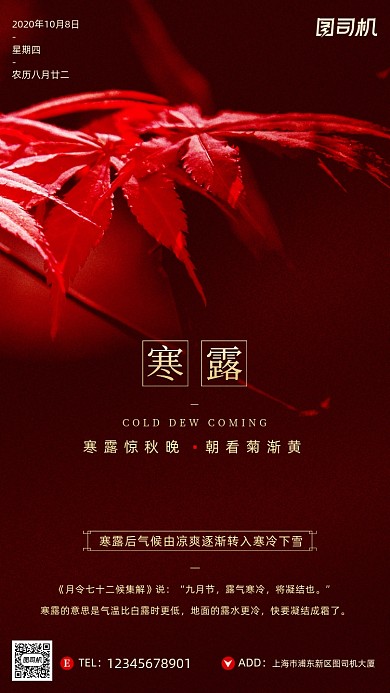 寒露节气摄影图清新枫叶简约手机海报