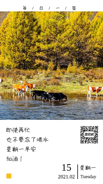 日签早安加油手机海报