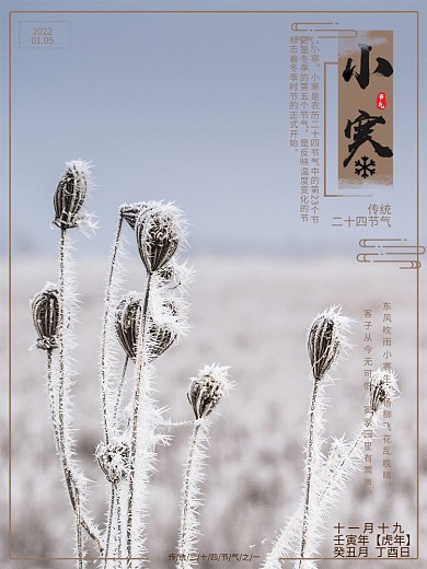 二十四节气小寒海报