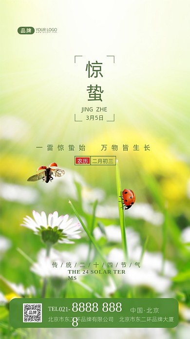 惊蛰节气传统节气摄影图海报