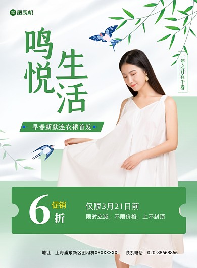 早春新款清新连衣裙推广印刷海报