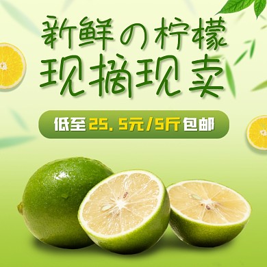 柠檬橙子橘子水果新鲜果蔬电商主图