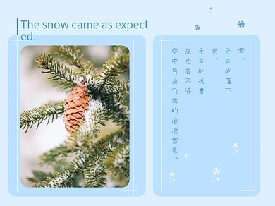 冬天下雪了雪后松树松果横版配图