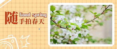 随手拍春天公众号首图