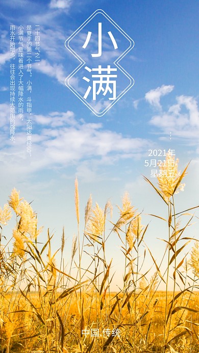 二十四节气小满新媒体海报